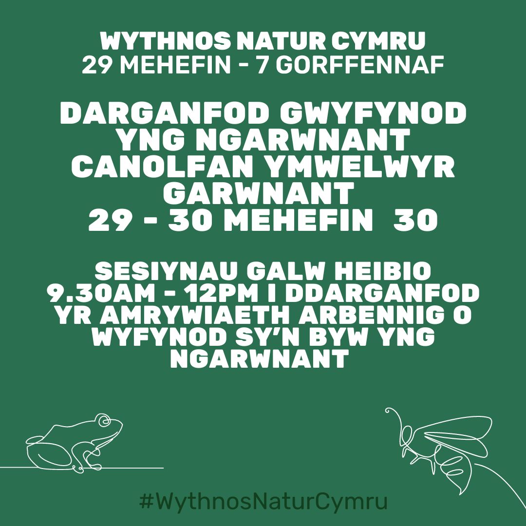 Darganfod Gwyfynod yng Ngarwnant